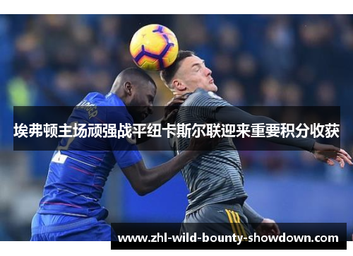 埃弗顿主场顽强战平纽卡斯尔联迎来重要积分收获