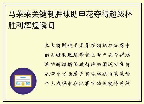 马莱莱关键制胜球助申花夺得超级杯胜利辉煌瞬间